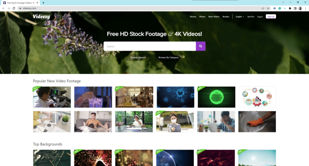 Videezy-free stock video website